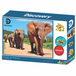 Elephants - Discovery Elephant
