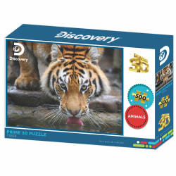 Tiger - Discovery Big Cats
