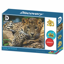 Leopard - Discovery Big Cats