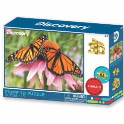 Monarch Butterfly - Discovery Butterflies and Insects