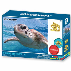 Sea Turtle - Discovery Sea Life