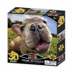 The Nose Knows Pugsley Dogs