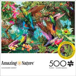 Amazing Nature: Hummingbird Garden Birds