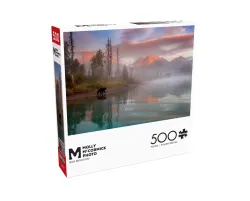 Bear Reflection Bear