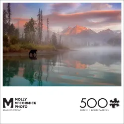 Bear Reflection Bear