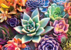 Wood Puzzle: Simple Succulent Flower & Garden