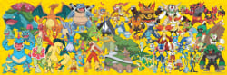 Pokemon Multipack Video Game