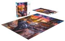 Forest Magic Hour Nature