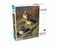 At Their Finest - Scratch and Dent Birds