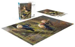 At Their Finest - Scratch and Dent Birds