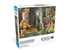 Big Cat Collage - Scratch and Dent Big Cats