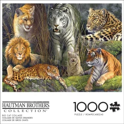 Big Cat Collage - Scratch and Dent Big Cats