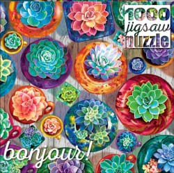 Succulent Selection - Scratch and Dent Flower & Garden