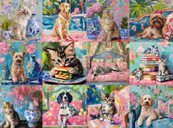 Cats and Dogs Collage Cats