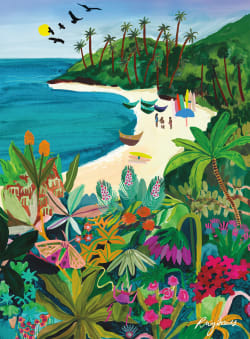 Beach Butterfly Beach & Ocean