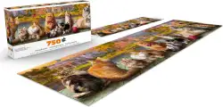 Cats Panoramic Cats