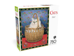 Bengy in a Basket Cats