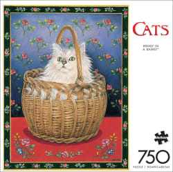 Bengy in a Basket - Scratch and Dent Cats