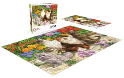 Cats: Cat Flora Cats