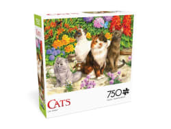 Cats: Cat Flora Cats