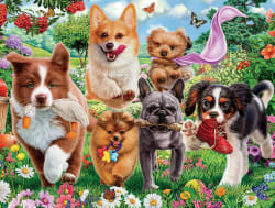 Playtime in the Meadow Dogs