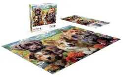 Dog Days: Pup Perfection Dogs