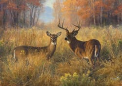 Proud Pair Forest Animal