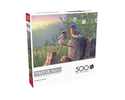 Daybreak Bluebirds Birds