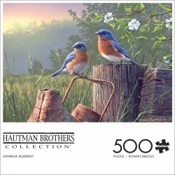 Daybreak Bluebirds Birds
