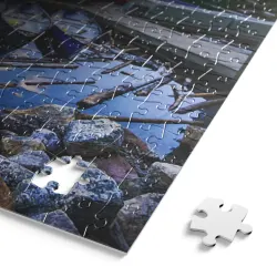 BLANC: Lake Moraine - Scratch and Dent Boat