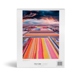 BLANC: Infinity Fields of the Netherlands Europe
