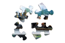 Durango Express Train