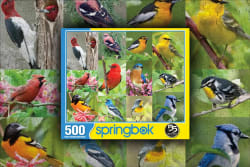 Birds of A Feather Birds