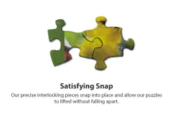 Birds of A Feather Birds