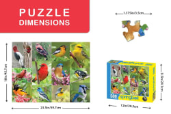 Birds of A Feather Birds