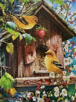 Home Tweet Home - Scratch and Dent Birds