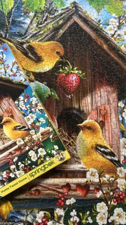 Home Tweet Home - Scratch and Dent Birds