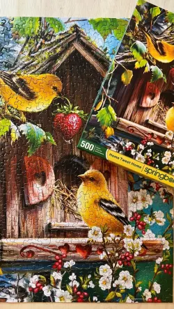 Home Tweet Home - Scratch and Dent Birds