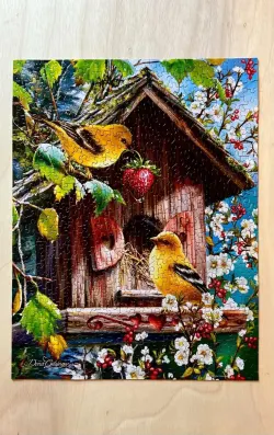 Home Tweet Home - Scratch and Dent Birds