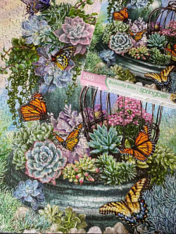 Butterfly Bliss Butterflies and Insects