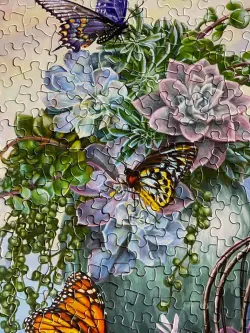 Butterfly Bliss Butterflies and Insects