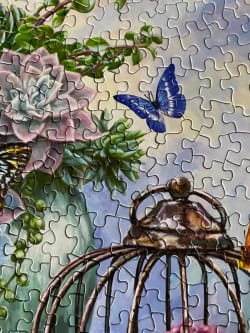 Butterfly Bliss Butterflies and Insects