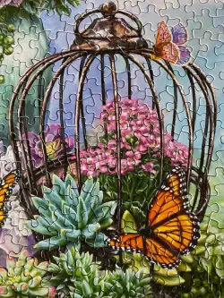 Butterfly Bliss Butterflies and Insects