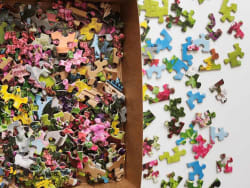 Beautiful Blossoms Flower & Garden