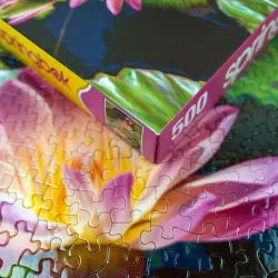 Water Lilies Flower & Garden