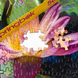 Water Lilies Flower & Garden