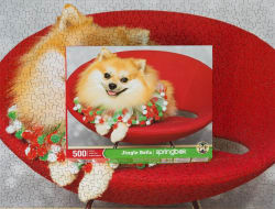 Jingle Bells Limited Release Dogs