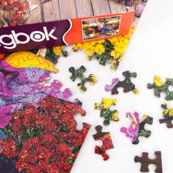 Cleopatra Limited Release Dogs