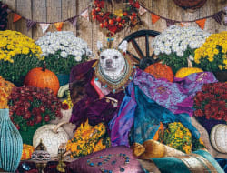 Cleopatra Limited Release Dogs