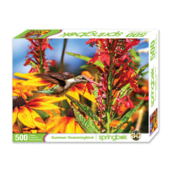 Summer Hummingbird Birds